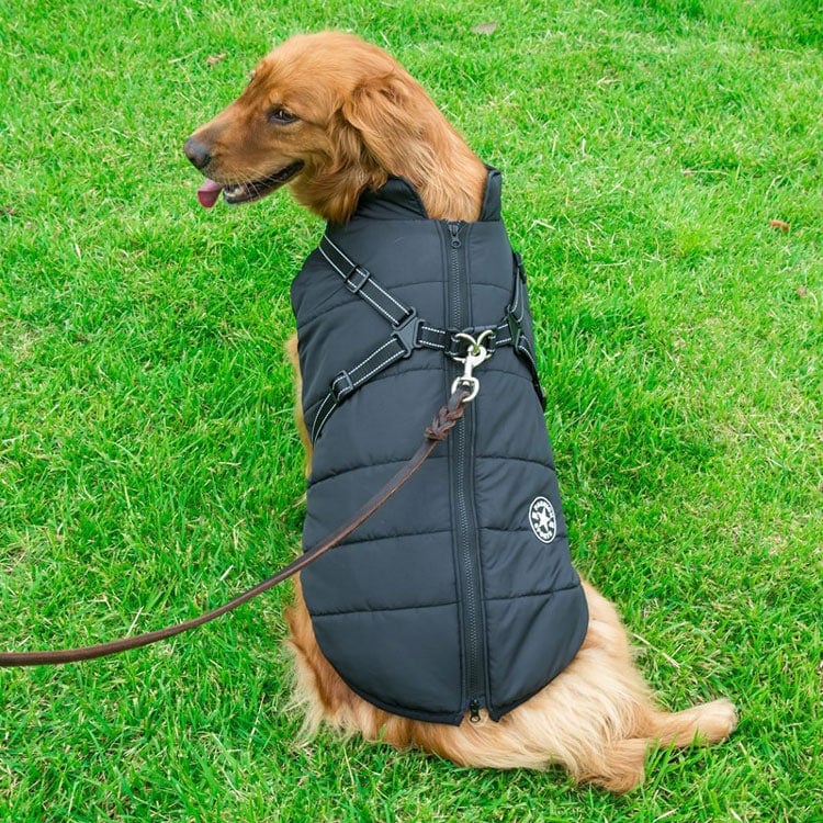 Cartufy™  Waterproof Winter Jacket with Built-in Harness