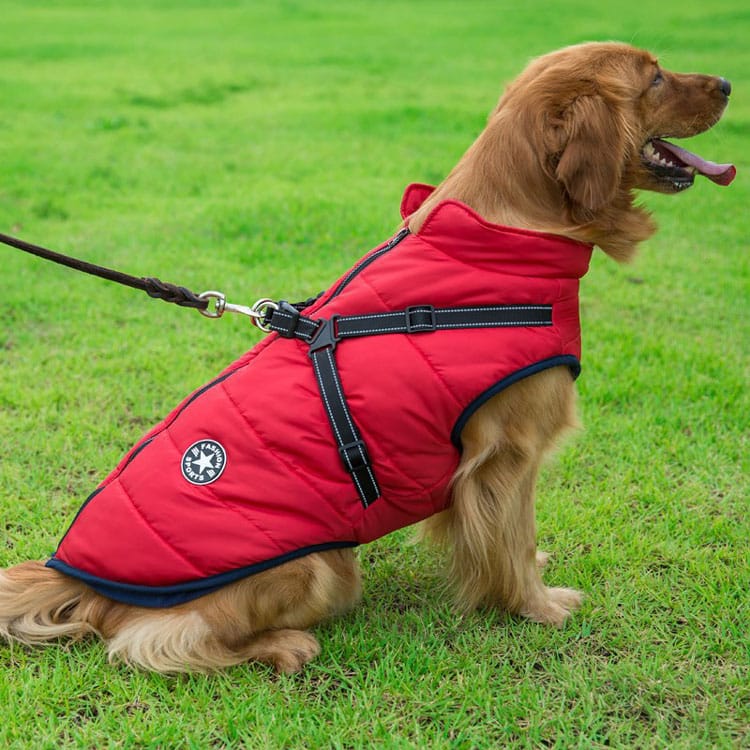 Cartufy™  Waterproof Winter Jacket with Built-in Harness