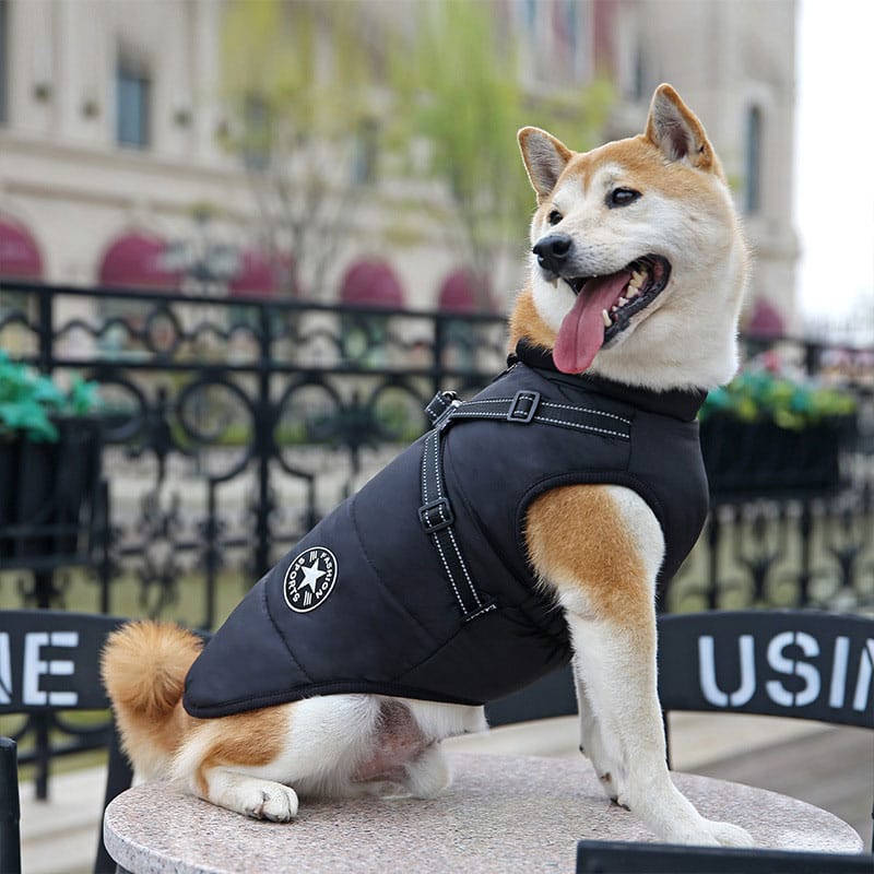 Cartufy™  Waterproof Winter Jacket with Built-in Harness