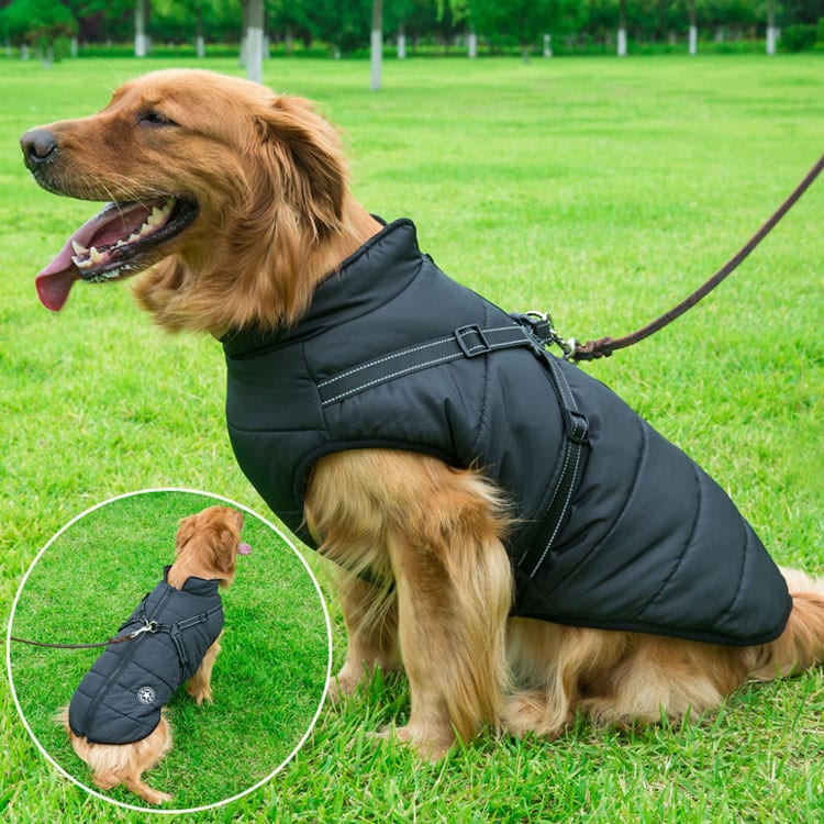 Cartufy™  Waterproof Winter Jacket with Built-in Harness