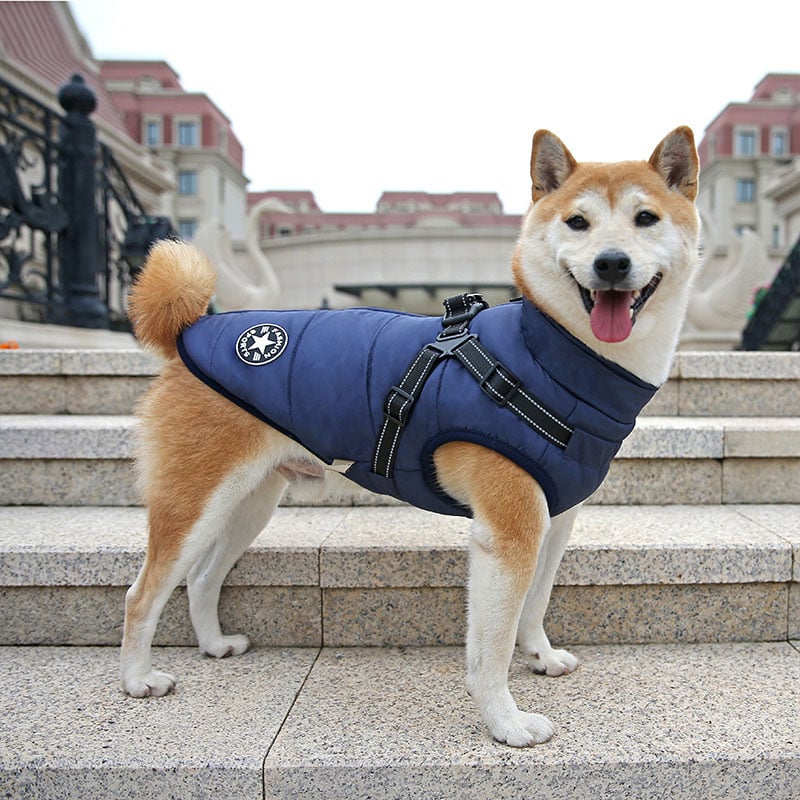 Cartufy™  Waterproof Winter Jacket with Built-in Harness