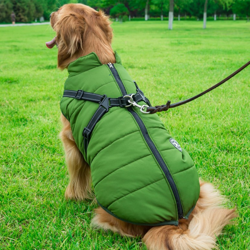 Cartufy™  Waterproof Winter Jacket with Built-in Harness