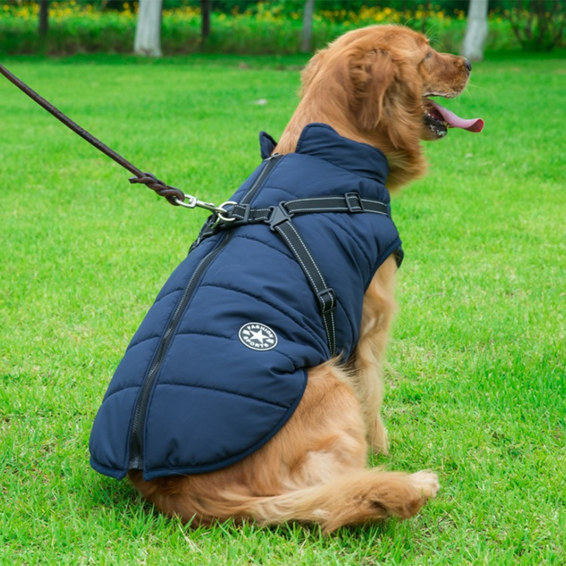 Cartufy™  Waterproof Winter Jacket with Built-in Harness