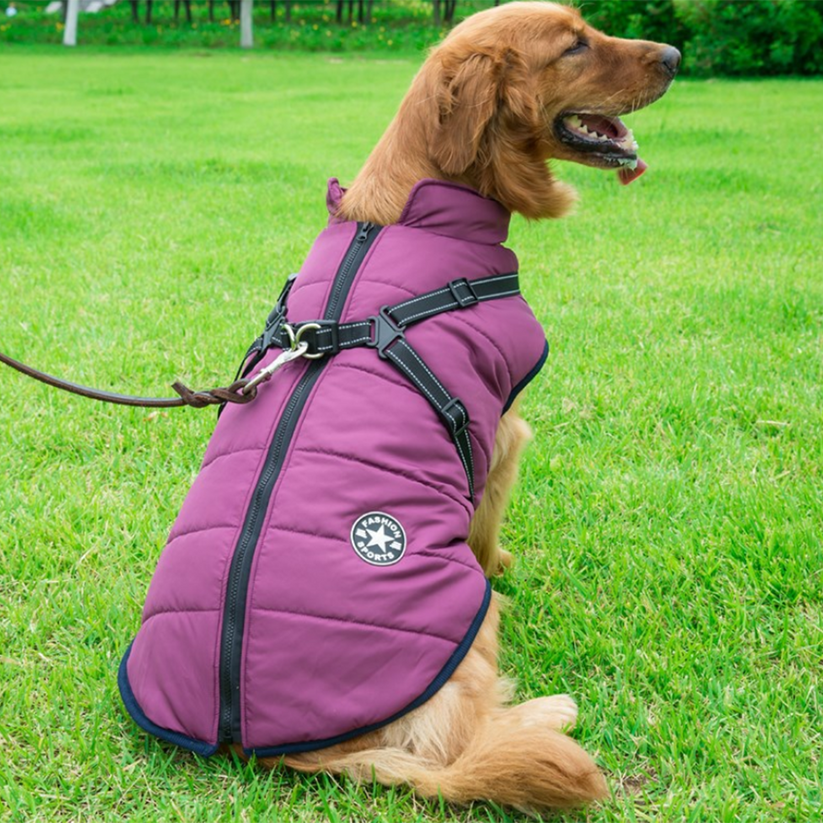 Cartufy™  Waterproof Winter Jacket with Built-in Harness