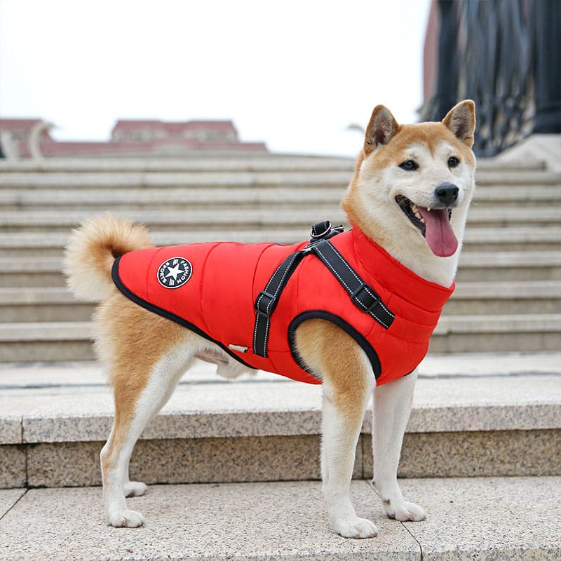 Cartufy™  Waterproof Winter Jacket with Built-in Harness