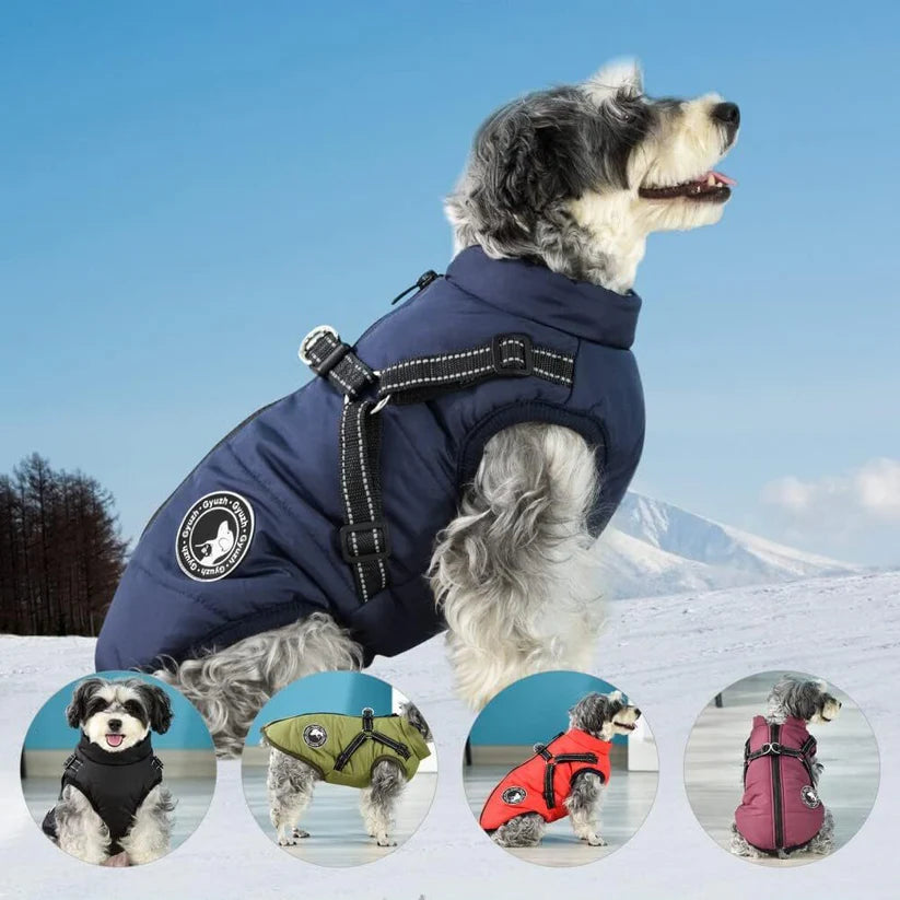 Cartufy™  Waterproof Winter Jacket with Built-in Harness